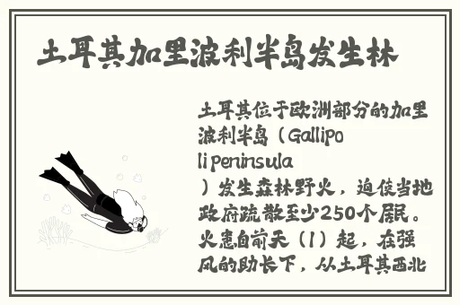 亚欧一线二线久久杏花网